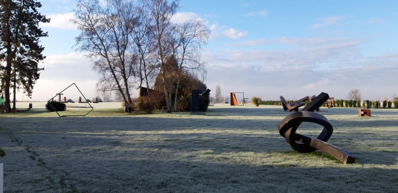Dans Parc De Sculptures - 