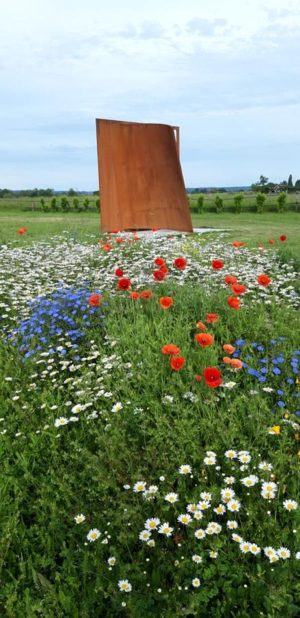 Dans Parc De Sculptures - 