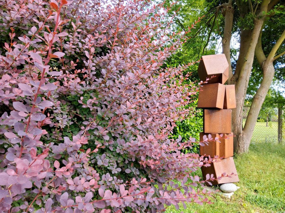 Dans Parc De Sculptures - 